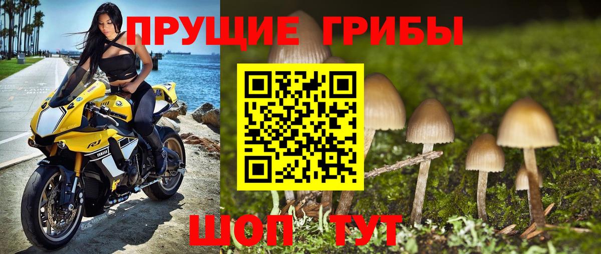 Кропоткин  Галлюциногенные грибы ЛСД  Галлюциногенные грибы GOLDEN TEACHER  Вход с VPN 